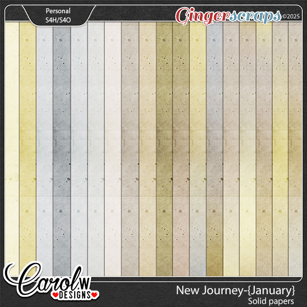 New Journey-{January}-Solid papers