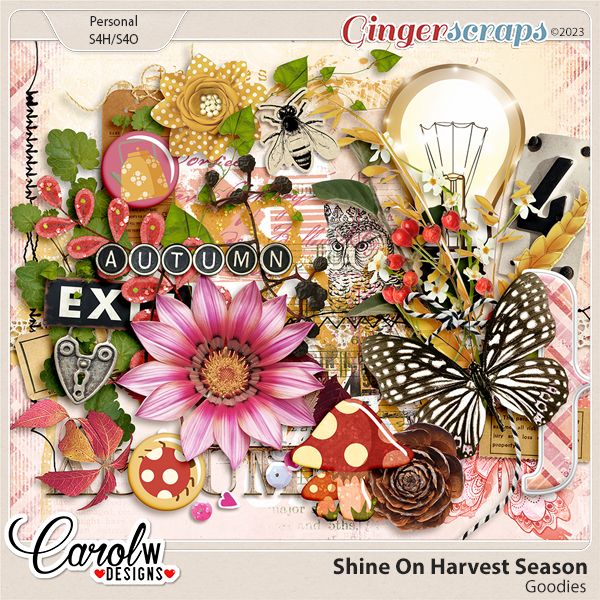 Shine On Harvest Season-Goodies