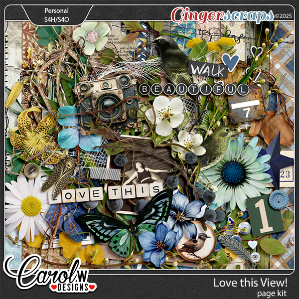 Love this View!-Page Kit
