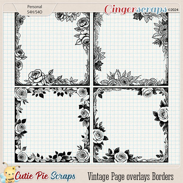 Vintage Page overlays Borders-10