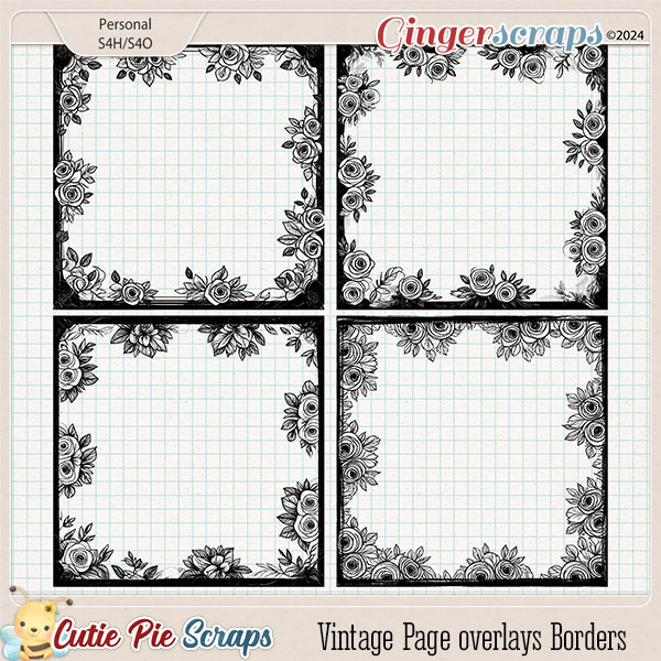 Vintage Page overlays Borders-11