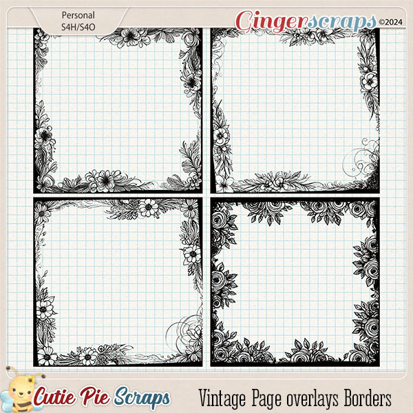 Vintage Page overlays Borders-13