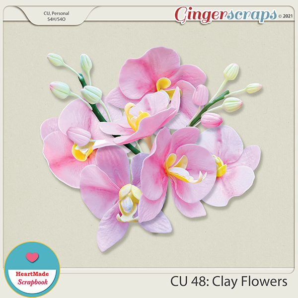 CU 48 - Clay flowers - orchid