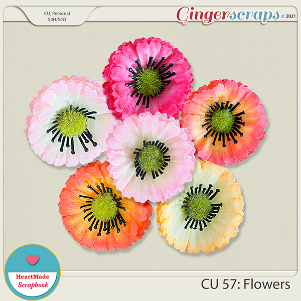 CU 57 - Flowers