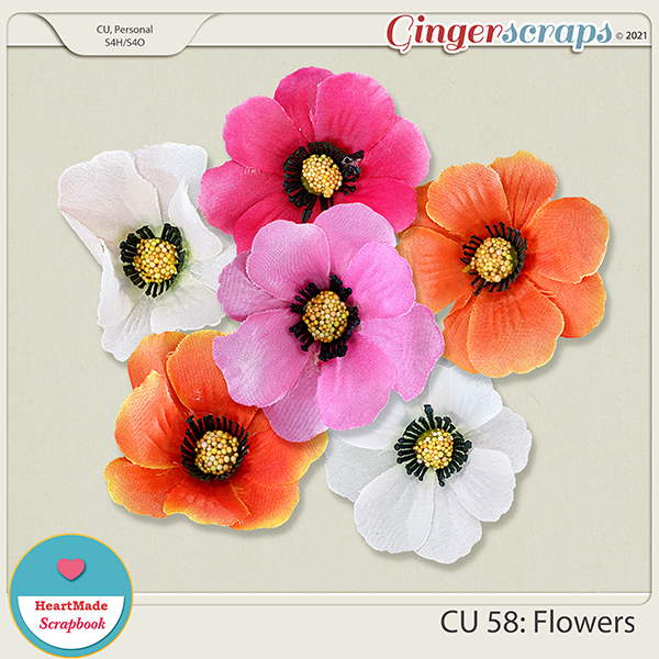 CU 58 - Flowers