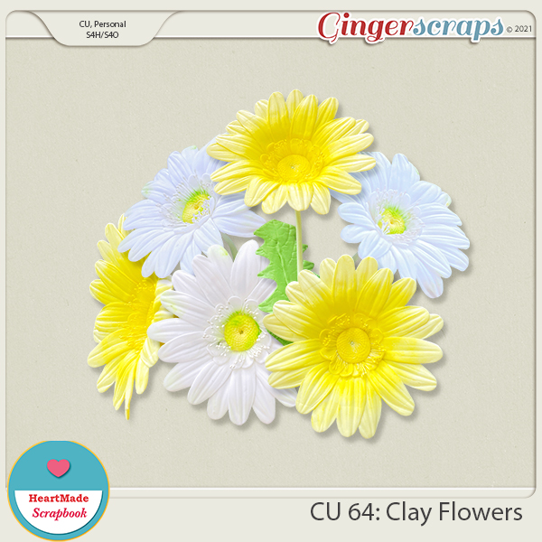 CU 64 - Flowers