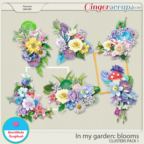 In my garden: blooms - clusters pack 1