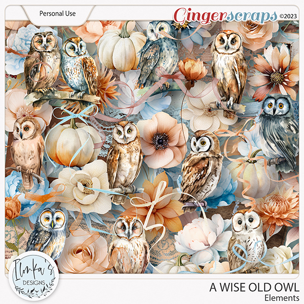 A Wise Old Owl Elements by Ilonka's Designs