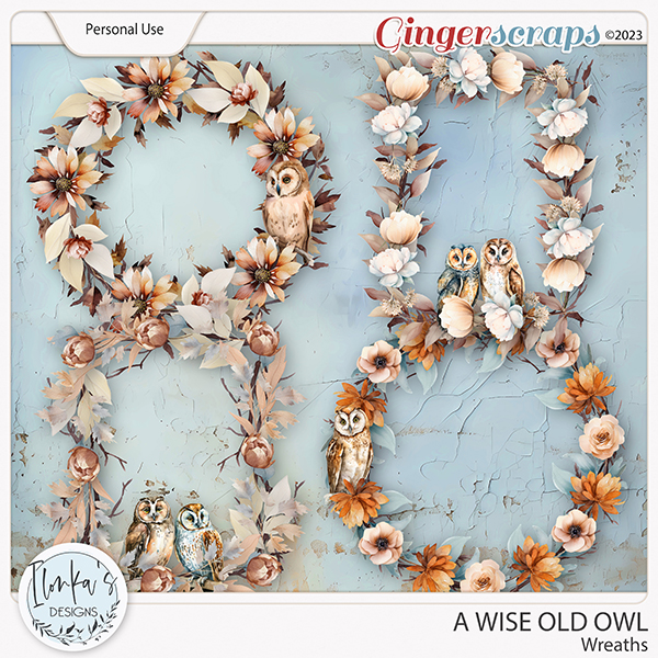 A Wise Old Owl Wreaths by Ilonka's Designs