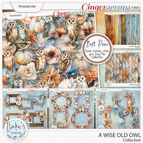 A Wise Old Owl Collection by Ilonka's Designs 