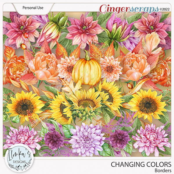 Changing Colors Borders by Ilonka's Designs