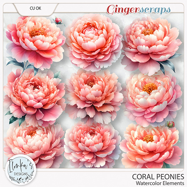 CU Watercolor Coral Peonies by Ilonka's Designs