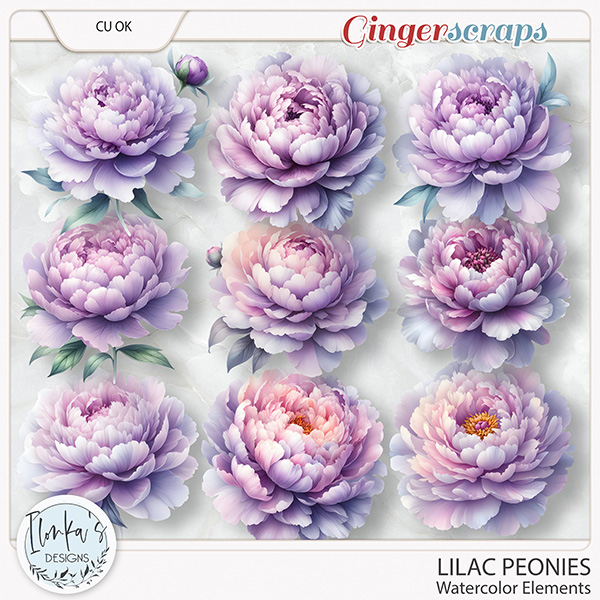 CU Watercolor Lilac Peonies by Ilonka's Designs 