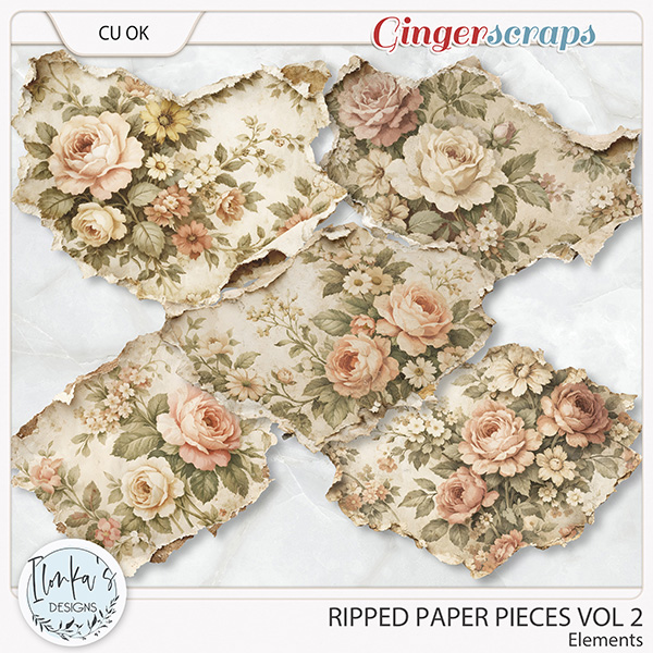 CU Ripped Paper Pieces Vol 2 by Ilonka's Designs
