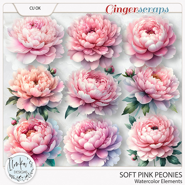 CU Watercolor Soft Pink Peonies by Ilonka's Designs