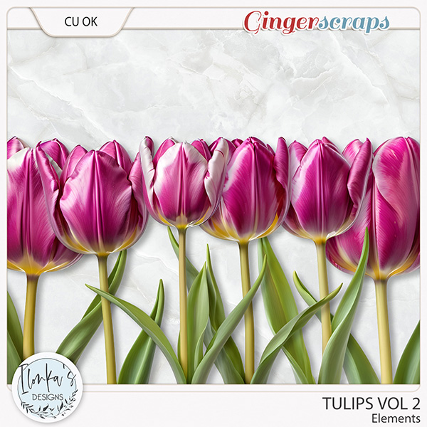 CU Tulips Vol 2 by Ilonka's Designs