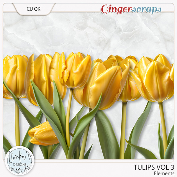 CU Tulips Vol 3 by Ilonka's Designs