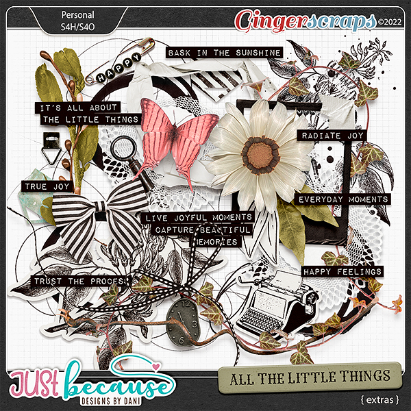 All The Little Things Extras by JB Studio