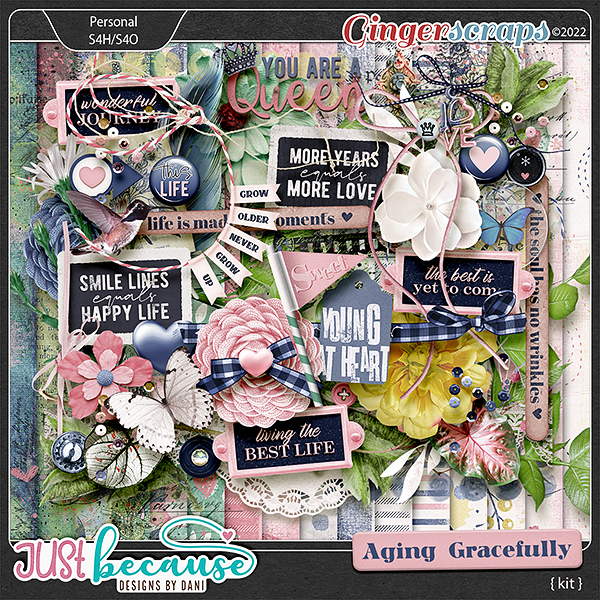 Aging Gracefully Kit by JB Studio