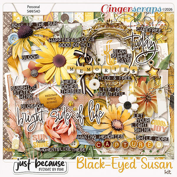 Black-Eyed Susan Kit by Just Because Studio