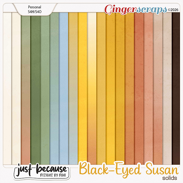 Black-Eyed Susan Solids by Just Because Studio