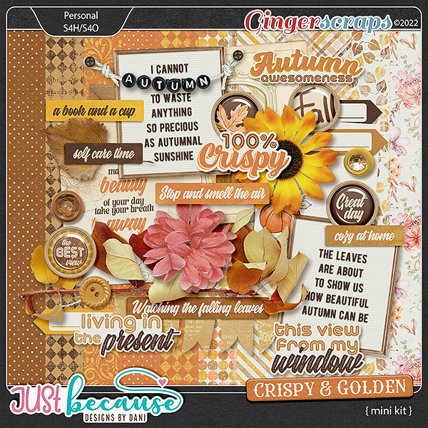 Crispy & Golden Mini Kit by JB Studio