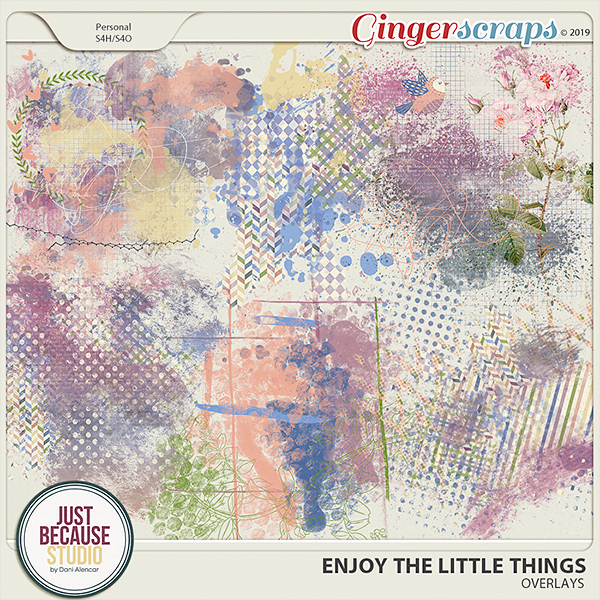 Enjoy The Little Things Overlays by JB Studio