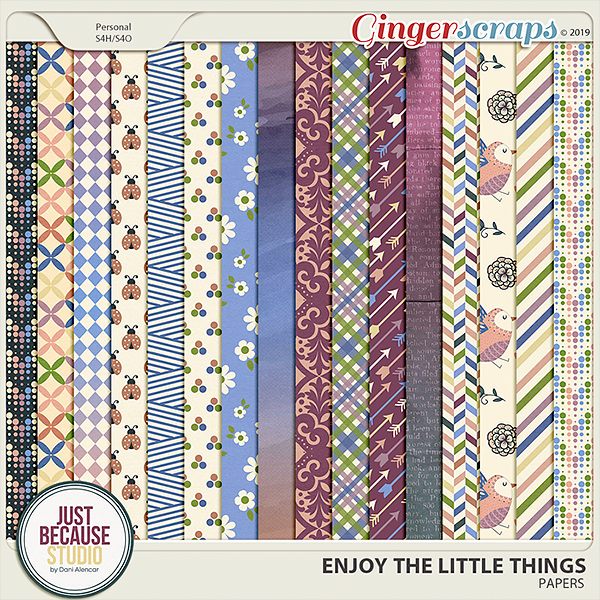 Enjoy The Little Things Papers by JB Studio