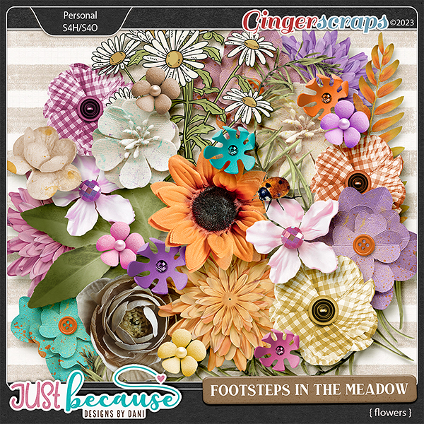 Footsteps in the Meadow Flowers by JB Studio
