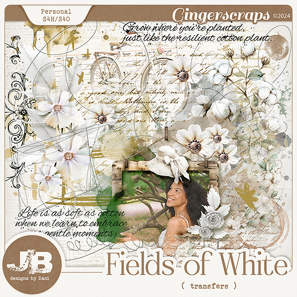 Fields of White Transfers by JB Studio