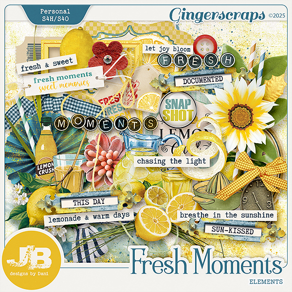 Fresh Moments Elements by JB Studio