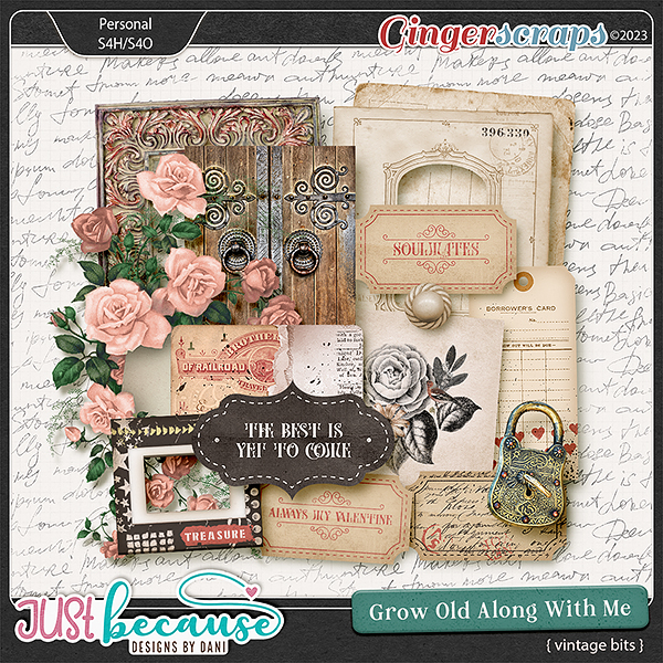 Grow Old Along With Me Vintage Bits by JB Studio