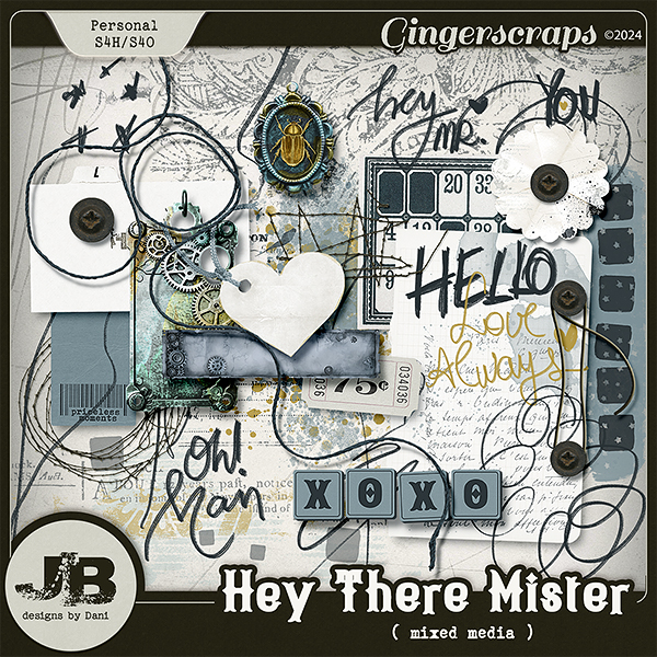 Hey There Mister Mixed Media by JB Studio