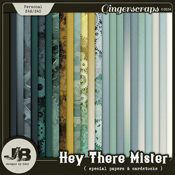 Hey There Mister Special Papers & Cardstocks by JB Studio