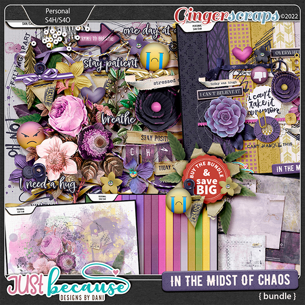 In The Midst Of Chaos Bundle by JB Studio