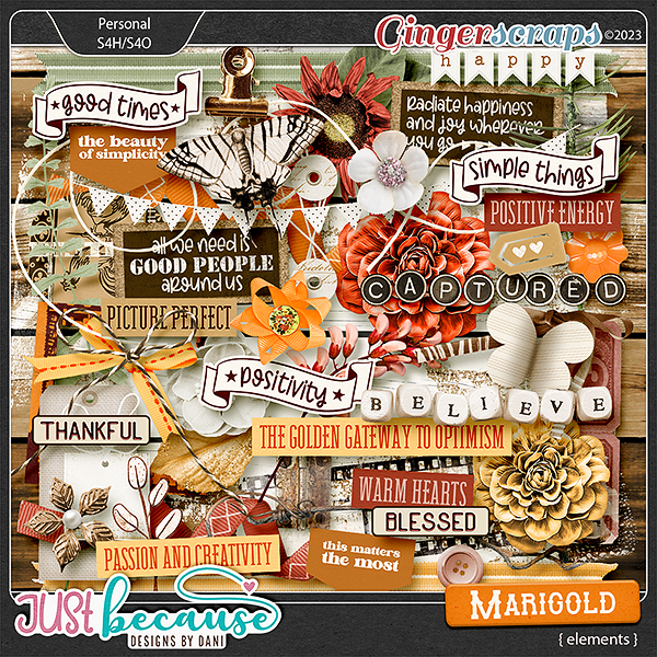 Marigold Elements by JB Studio