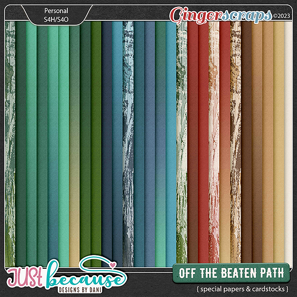Off The Beaten Path Special Papers & Cardstocks Path by JB Studio