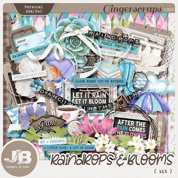 Raindrops & Blooms Kit by JB Studio