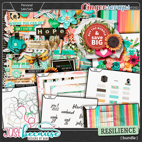 Resilience Bundle by JB Studio