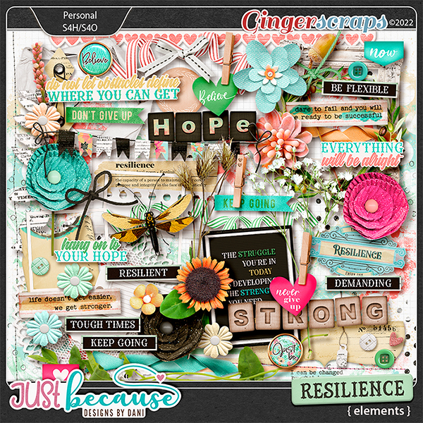 Resilience Elements by JB Studio