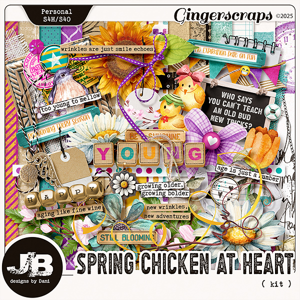 Spring Chicken At Heart Kit by JB Studio