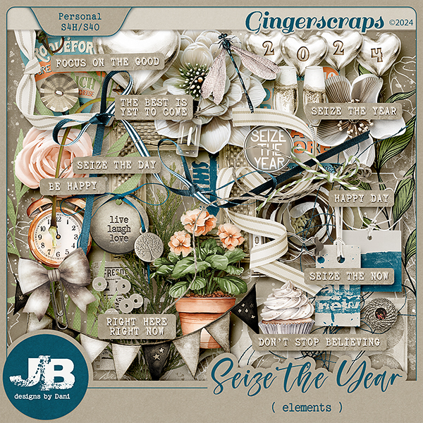 Seize The Year Elements by JB Studio