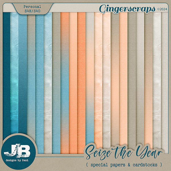Seize The Year Special Papers & Cardstocks by JB Studio