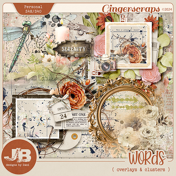 Words Overlays & Clusters by JB Studio