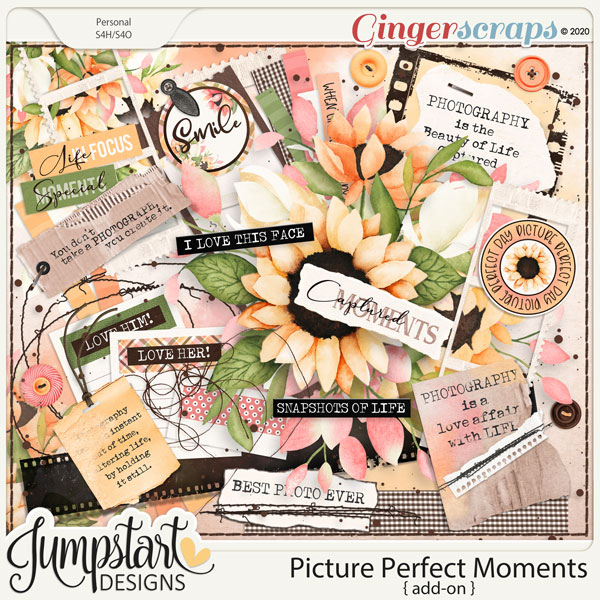 Picture Perfect Moments {Add-On}