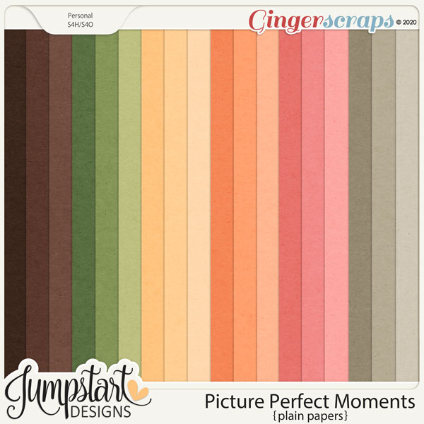 Picture Perfect Moments {Plain Papers}