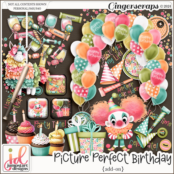 Picture Perfect Birthday {Add-On}
