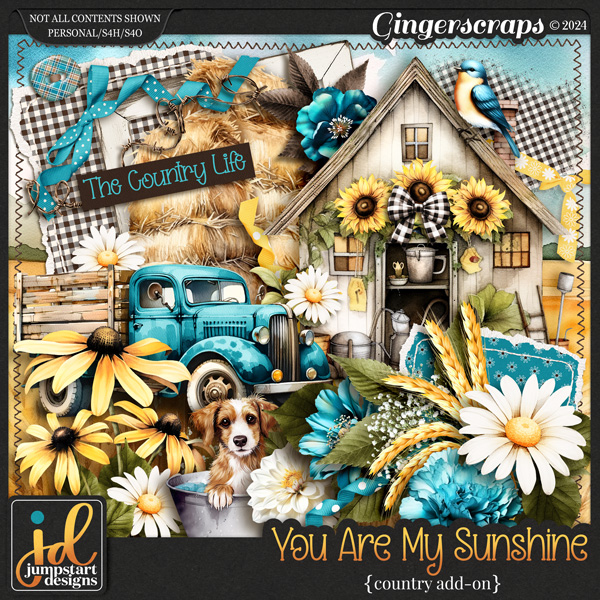 You Are My Sunshine {Country Add-On}