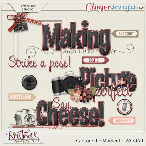 Capture the Moment WordArt