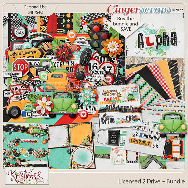 Licensed 2 Drive Bundle